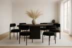 Luna Dining Chair - Set